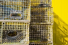 Coastal Trappings IV