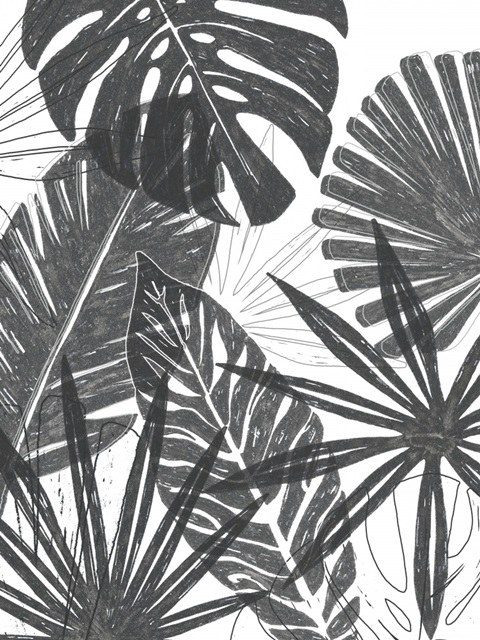 Palm Shadows I