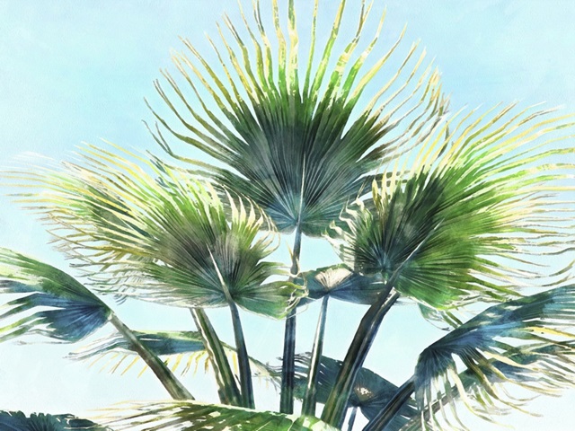 Pleasant Palms II