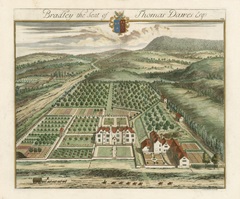 Kip's Garden Views I