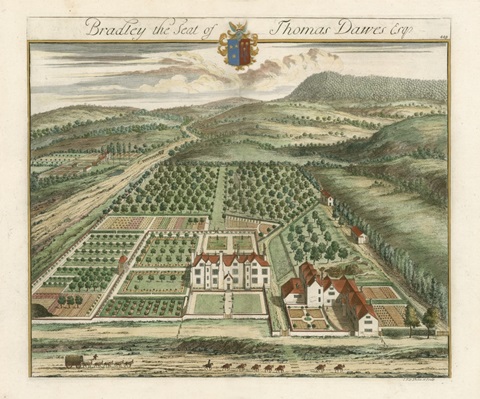 Kip's Garden Views I