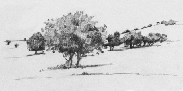 Treeline Sketch I