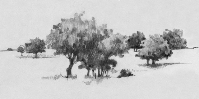 Treeline Sketch II