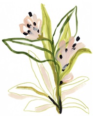 Tropical Cadenza III