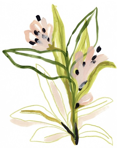 Tropical Cadenza III