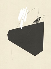 Steel Sequin with Bird III