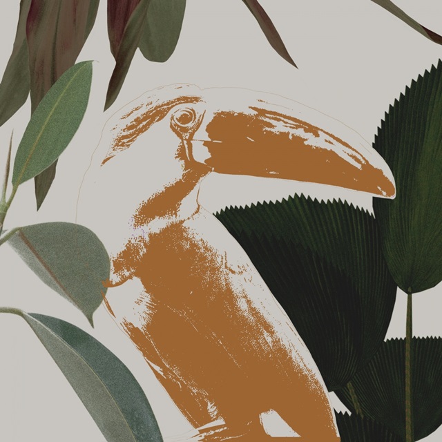 Graphic Tropical Bird III