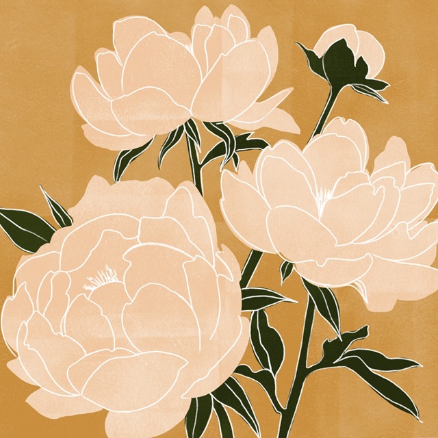 Modern Peonies II