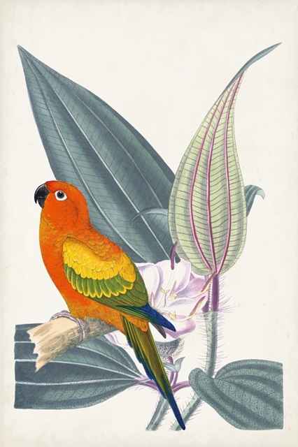 Tropical Bird & Flower IV