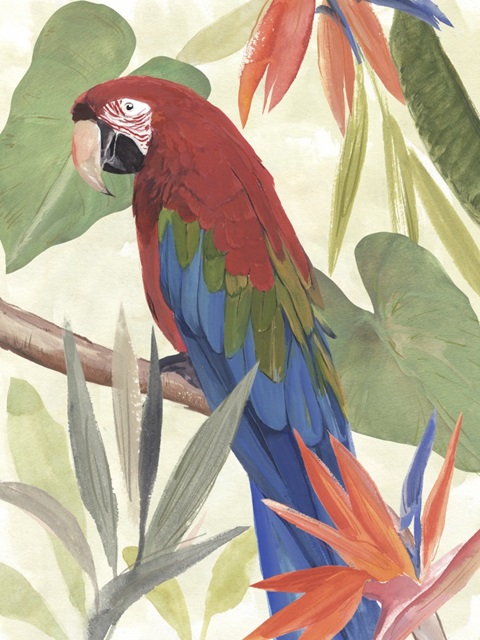 Tropical Parrot Composition III