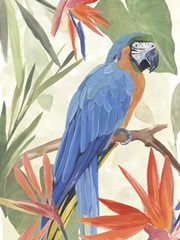 Tropical Parrot Composition IV