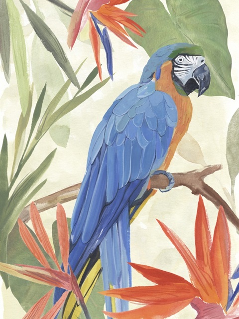 Tropical Parrot Composition IV