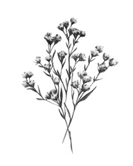 Wild Thistle Bundle I