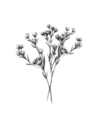 Wild Thistle Bundle II