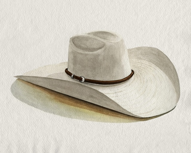 Cowboy Hat II