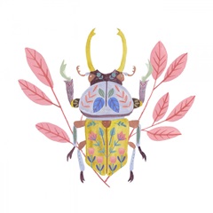 Floral Beetles II
