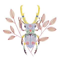 Floral Beetles V
