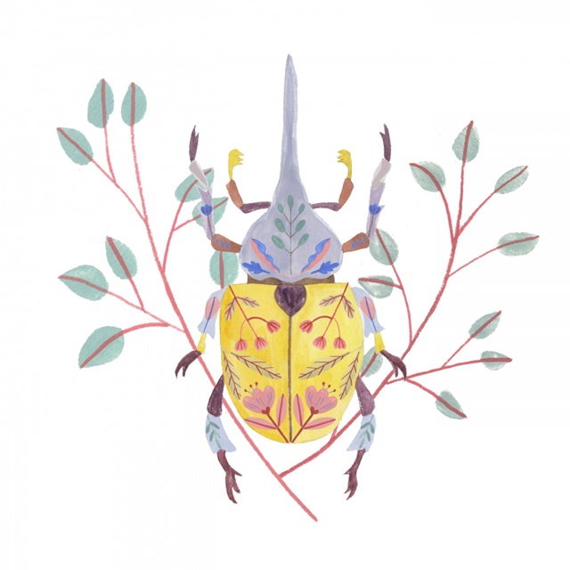 Floral Beetles VI