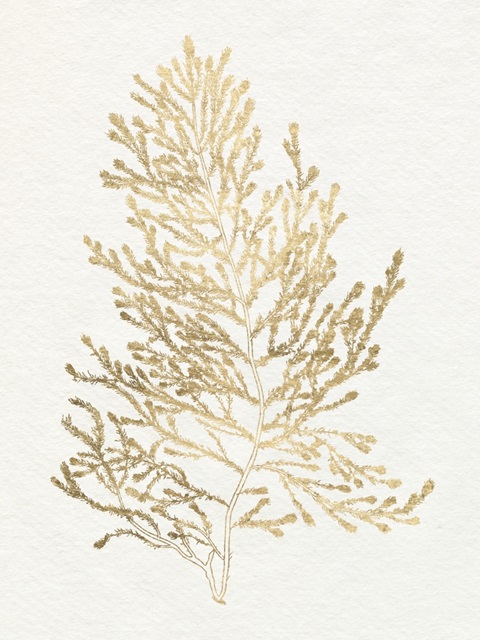 Gilded Algae IV