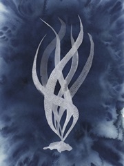 Midnight Kelp II