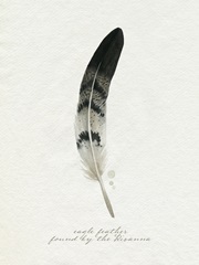 Found Feather I