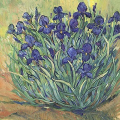 Irises in Bloom I