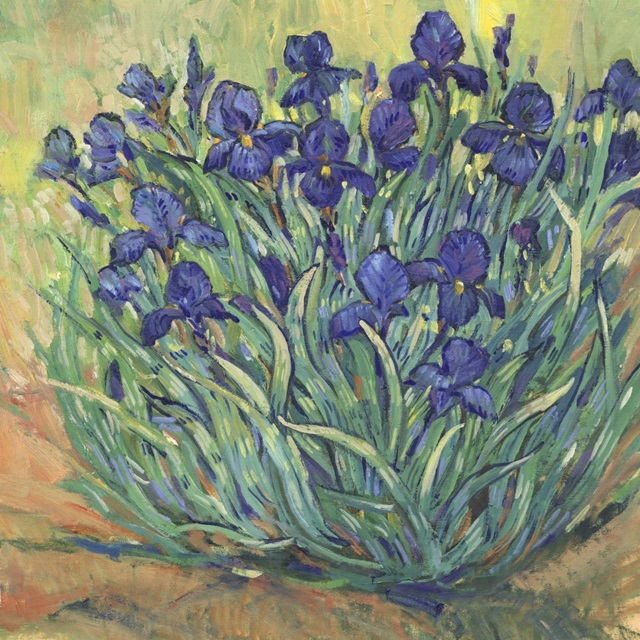 Irises in Bloom I