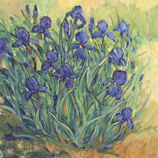 Irises in Bloom II