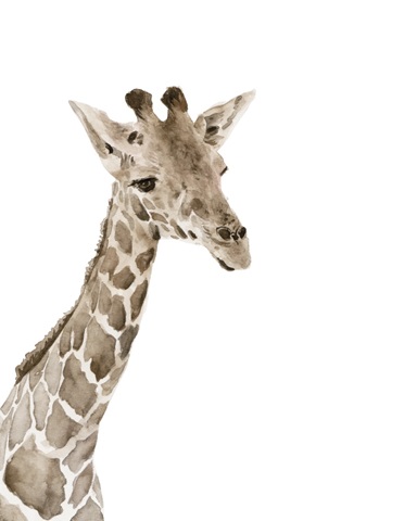 Safari Animal Portraits II