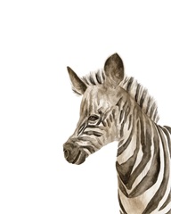 Safari Animal Portraits IV