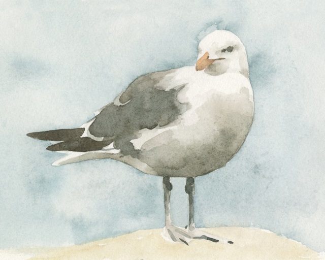 Simple Seagull I