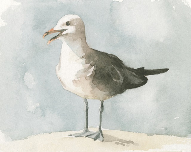 Simple Seagull II