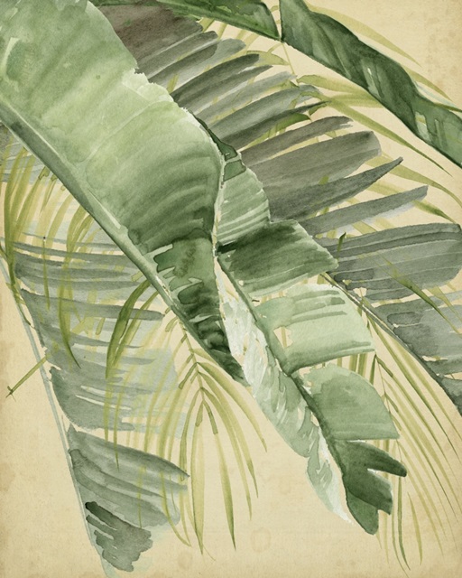 Banana Palms I