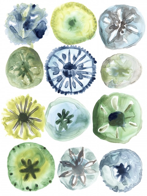 Sea Urchin Assortment II