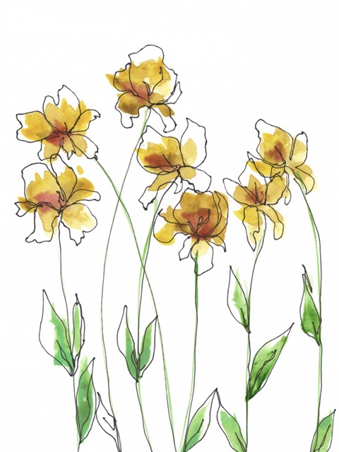 Amber Tulips I