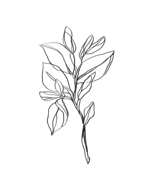 Leaf Sprig I