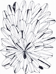 Monochrome Kaleidoscope I