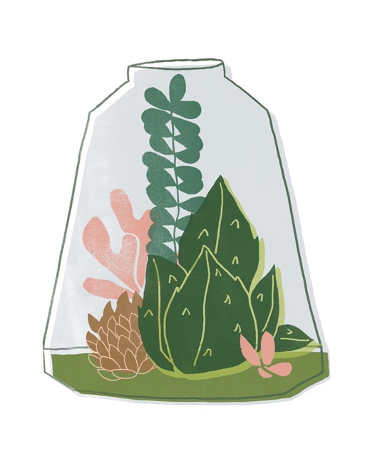 Terrarium Cameo IV