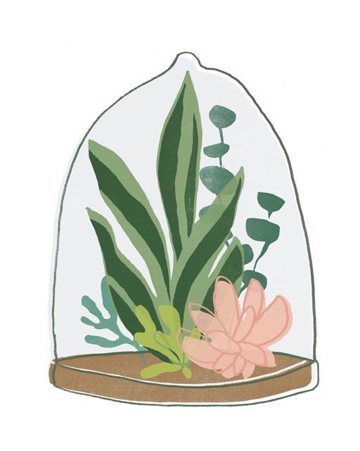 Terrarium Cameo VII