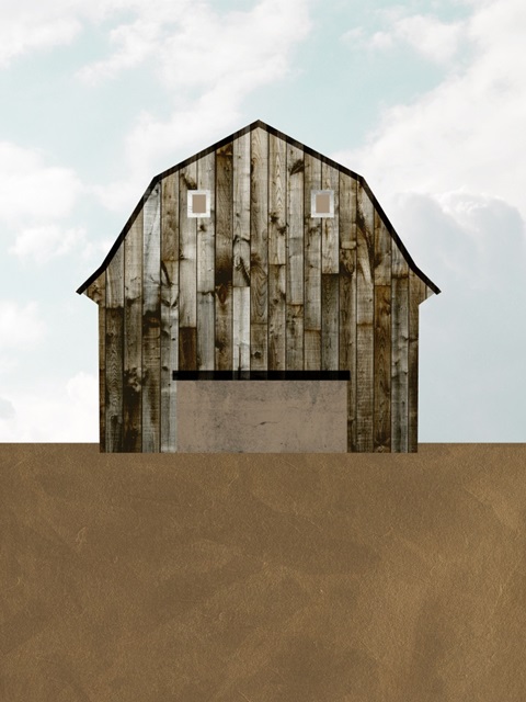 A Barn's Portrait I