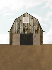 A Barn's Portrait II