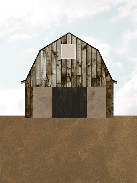 A Barn's Portrait II