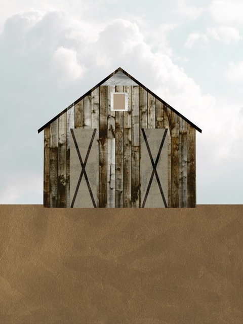 A Barn's Portrait III