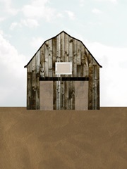A Barn's Portrait IV