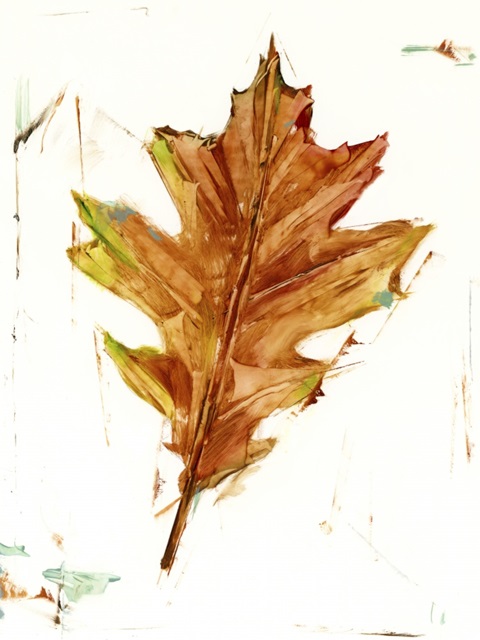 Autumn Leaf Study II