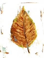 Autumn Leaf Study III