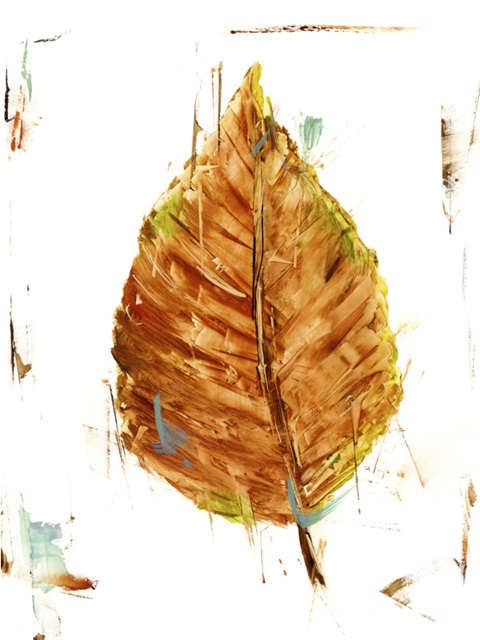 Autumn Leaf Study III