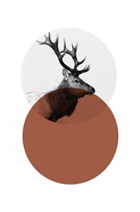 Geo Elk