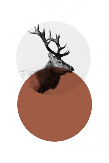 Geo Elk