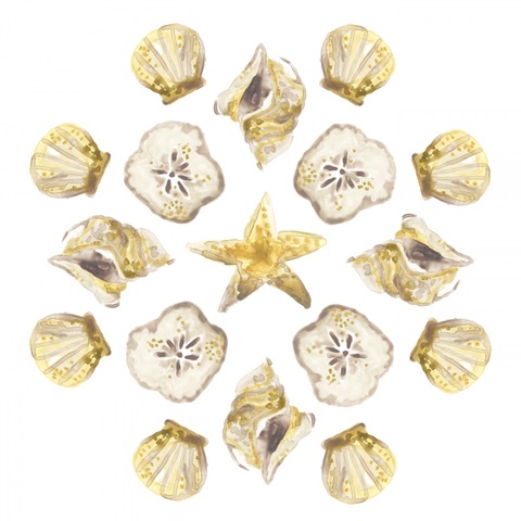 Seaside Kaleidoscope IV